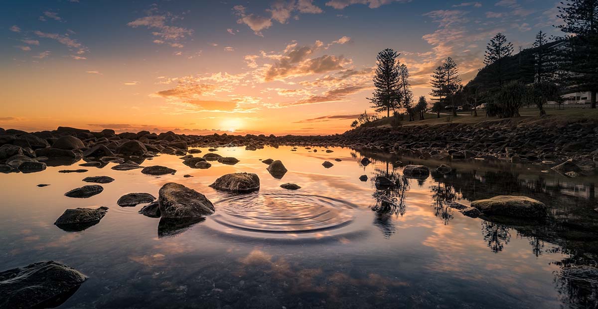 5 Nature Scene